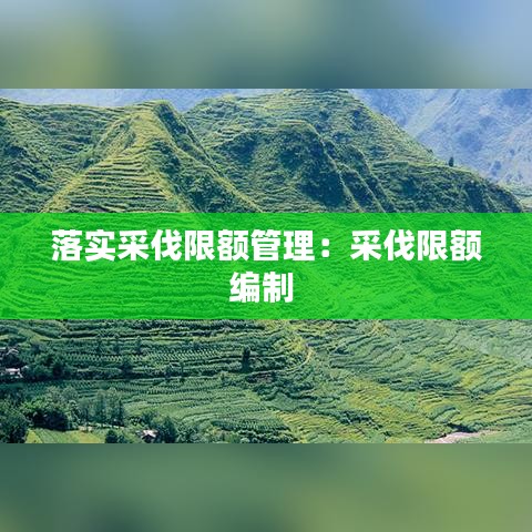 落实采伐限额管理:采伐限额编制