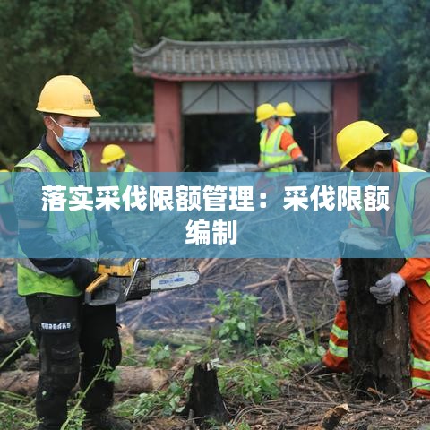 落实采伐限额管理:采伐限额编制