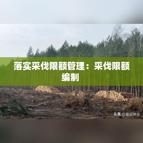 落实采伐限额管理:采伐限额编制