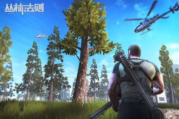 丛林法则激活码苹果同JJ 比赛官方下载,现状分析说明 静态版_v6.502