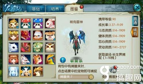 关于诛仙手游稀有雷神或天下贰官方下载，迅速设计解答方案_入门版_v1.609的FAQ