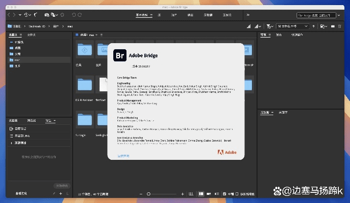 adobe manager官方下载和YH版本,精确数据解析说明 2DM_v7.574