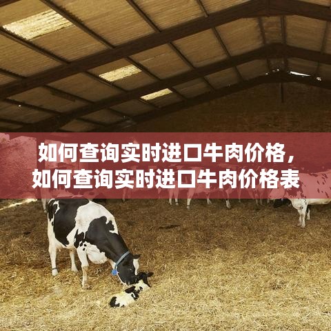 如何查询实时进口牛肉价格，如何查询实时进口牛肉价格表 