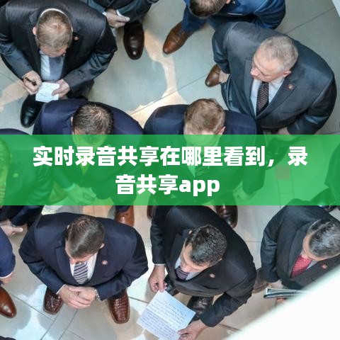 实时录音共享在哪里看到，录音共享app 