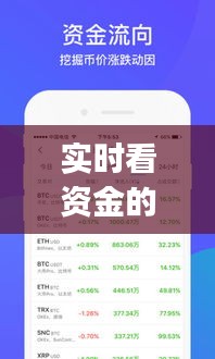 实时看资金的app，可以看资金流向的软件 
