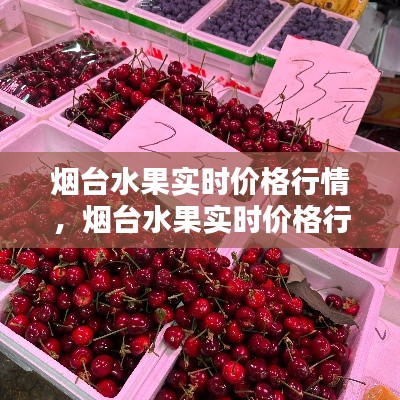 烟台水果实时价格行情，烟台水果实时价格行情查询 