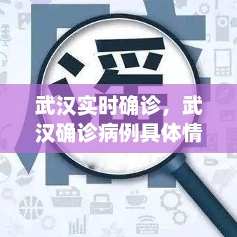 武汉实时确诊，武汉确诊病例具体情况分布 