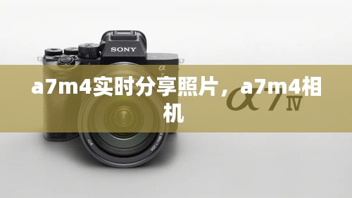 心慌意乱 第5页