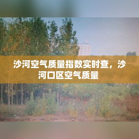沙河空气质量指数实时查，沙河口区空气质量 