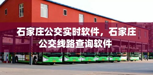 石家庄公交实时软件，石家庄公交线路查询软件 