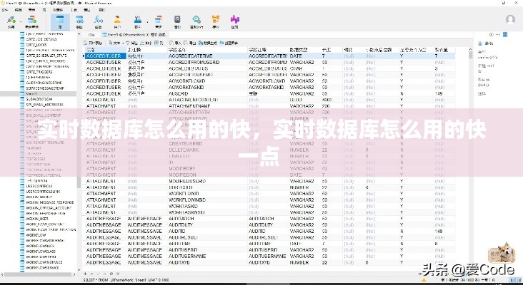 实时数据库怎么用的快，实时数据库怎么用的快一点 