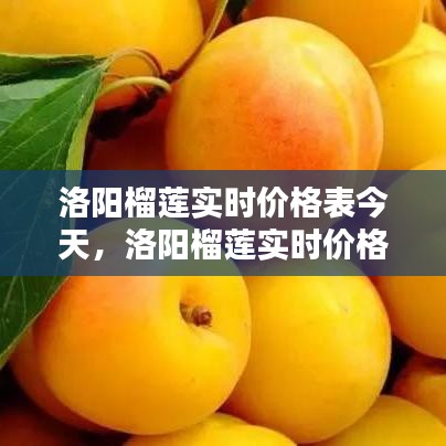 洛阳榴莲实时价格表今天,洛阳榴莲实时价格表今天最新