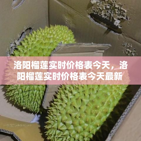 洛阳榴莲实时价格表今天，洛阳榴莲实时价格表今天最新 