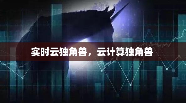 实时云独角兽，云计算独角兽 