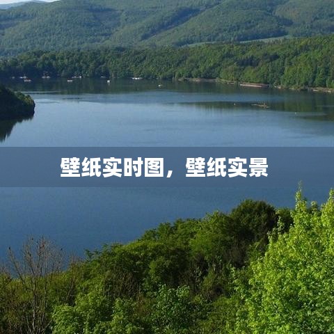 贵不期骄 第4页