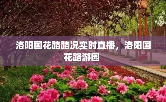 洛阳国花路路况实时直播，洛阳国花路游园 