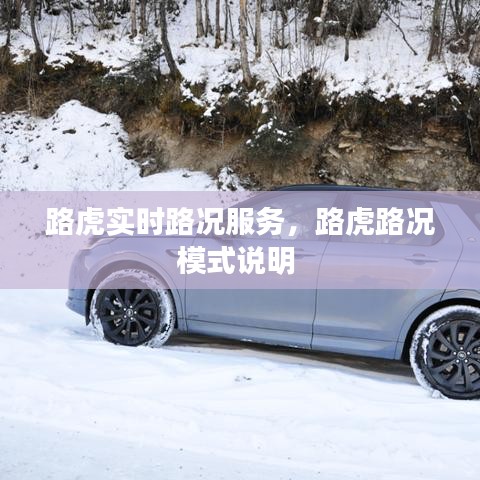 路虎实时路况服务，路虎路况模式说明 