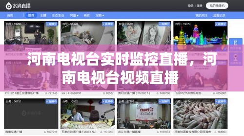 河南电视台实时监控直播,河南电视台视频直播
