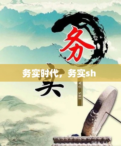 务实时代，务实sh 