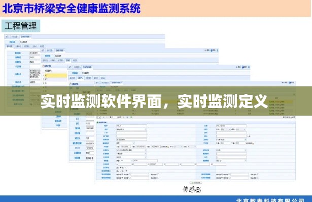 实时监测软件界面，实时监测定义 