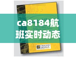 ca8184航班实时动态查询系统，ca8178航班实时动态查询 