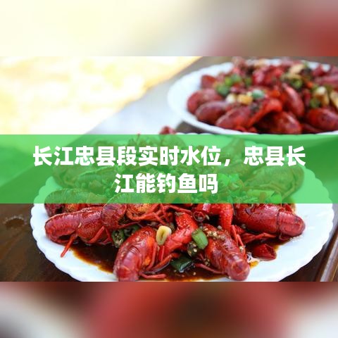 长江忠县段实时水位，忠县长江能钓鱼吗 