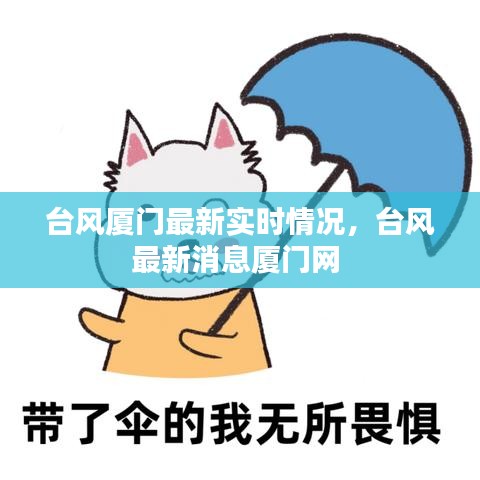 台风厦门最新实时情况，台风最新消息厦门网 