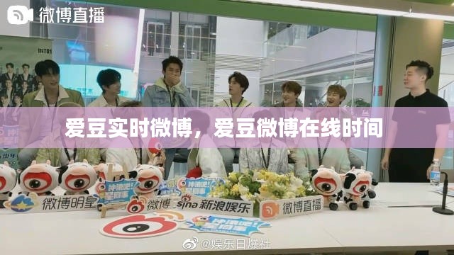 爱豆实时微博，爱豆微博在线时间 