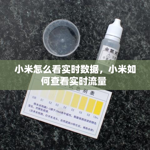 小米怎么看实时数据，小米如何查看实时流量 