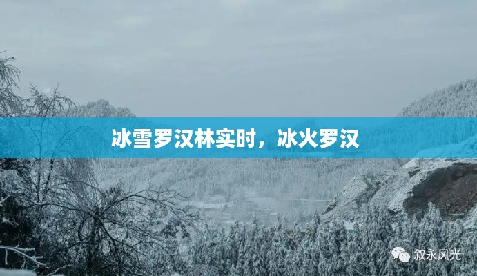 冰雪罗汉林实时，冰火罗汉 