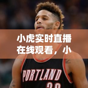 小虎实时直播在线观看，小虎nba直播 