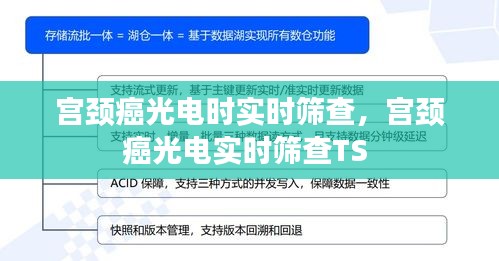 栖冲业简 第4页