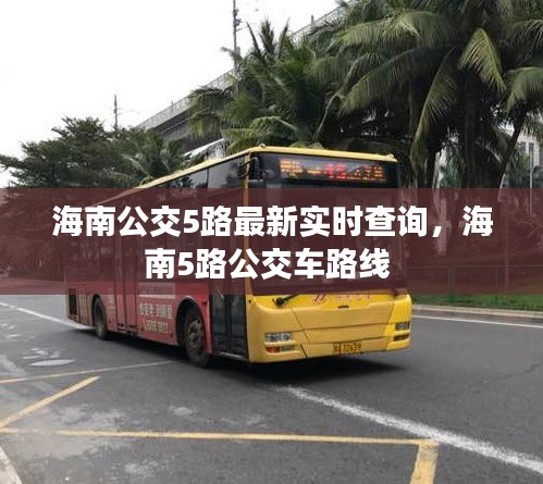 海南公交5路最新实时查询，海南5路公交车路线 
