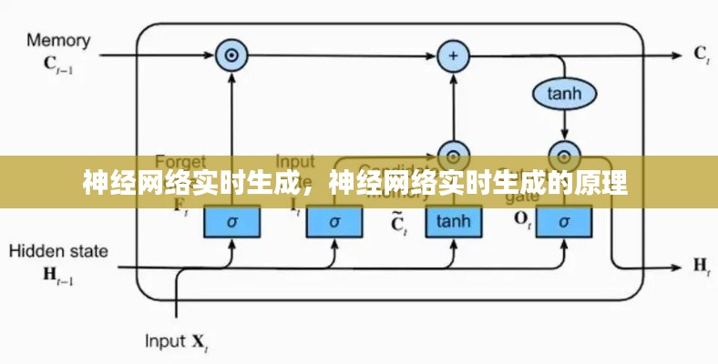 神经网络实时生成，神经网络实时生成的原理 