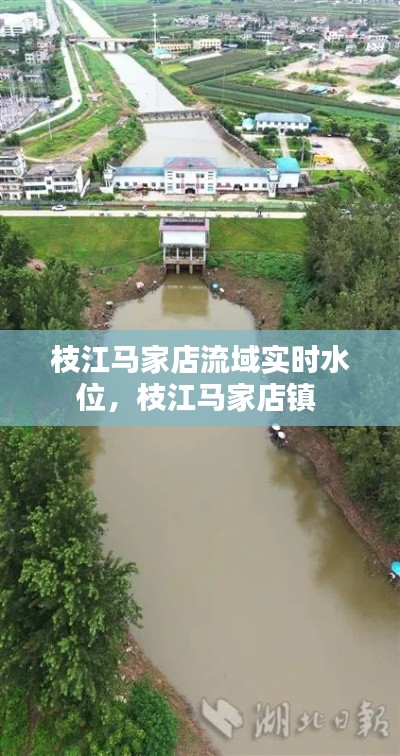 枝江马家店流域实时水位，枝江马家店镇 