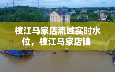 枝江马家店流域实时水位,枝江马家店镇