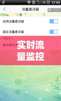 实时流量监控安卓，实时流量监控安卓怎么用 