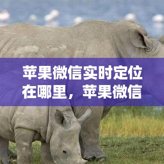 纲挈目张 第4页
