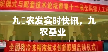九燚农发实时快讯，九农基业 