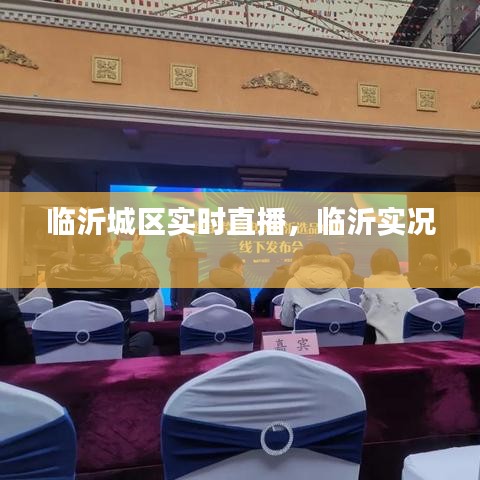 临沂城区实时直播,临沂实况