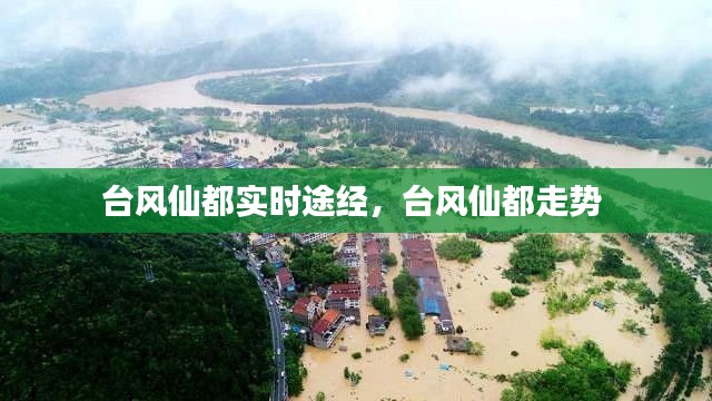 台风仙都实时途经,台风仙都走势