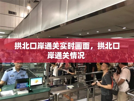 拱北口岸通关实时画面，拱北口岸通关情况 