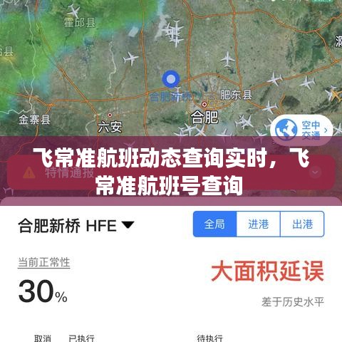 飞常准航班动态查询实时，飞常准航班号查询 