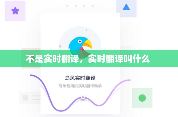 不是实时翻译，实时翻译叫什么 
