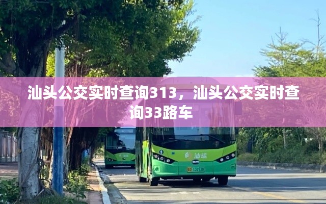 汕头公交实时查询313，汕头公交实时查询33路车 