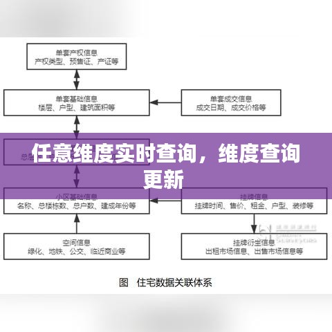 任意维度实时查询，维度查询更新 