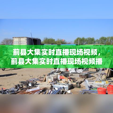 蓟县大集实时直播现场视频，蓟县大集实时直播现场视频播放 