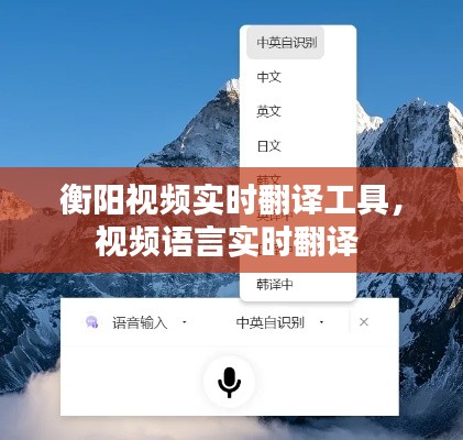 衡阳视频实时翻译工具，视频语言实时翻译 