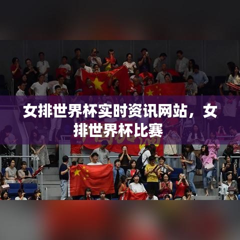女排世界杯实时资讯网站，女排世界杯比赛 