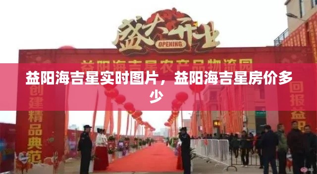 益阳海吉星实时图片，益阳海吉星房价多少 